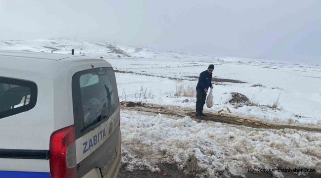 Bünyan Belediyesi'nden sokaktaki hayvanlarına yardım eli