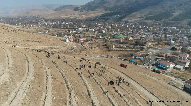 Yahyalı'da binlerce fidan toprakla buluştu