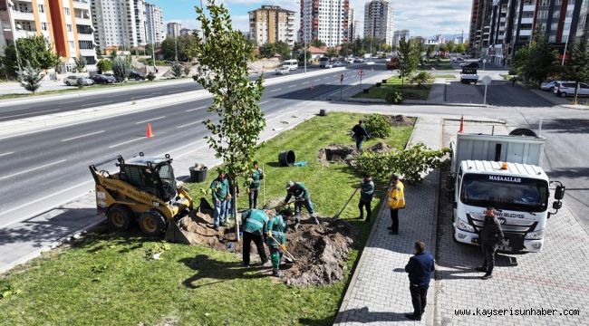 Başkan Çolakbayrakdar: "Yeşil alanda dünya standardını 3'e katlayacağız"