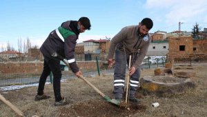 Talas kırsalındaki kamu alanlarına kestane fidanı